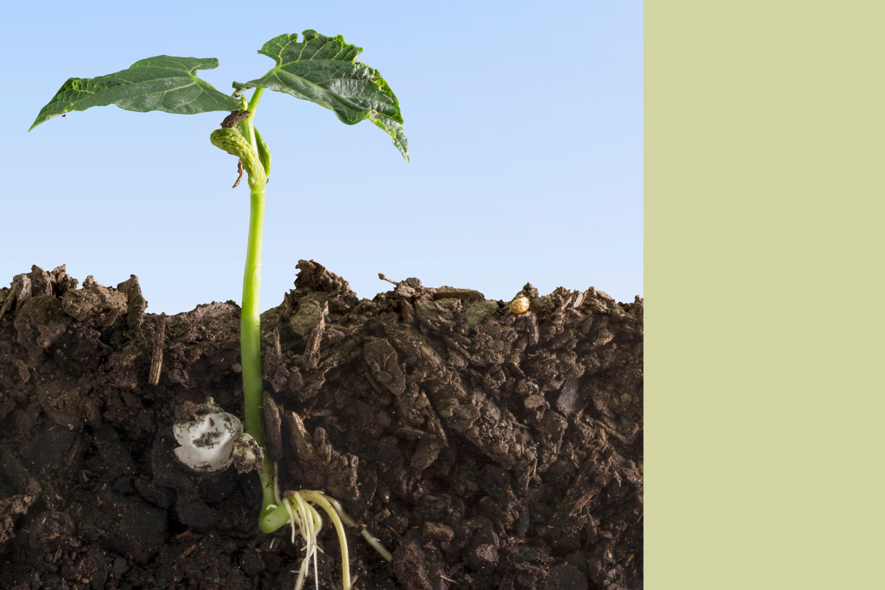 An In-Depth Look into Soil Surveys, Nov 12 at 6:30 pm