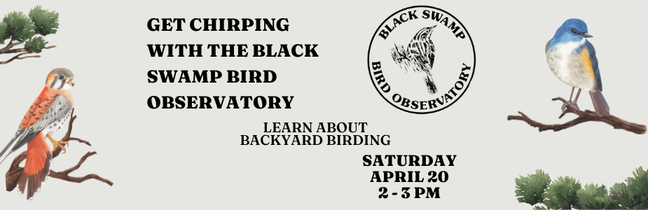 Get Chirping with the Black Swamp Bird Observatory